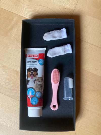 Zähne putzen-Beitrag-Bild