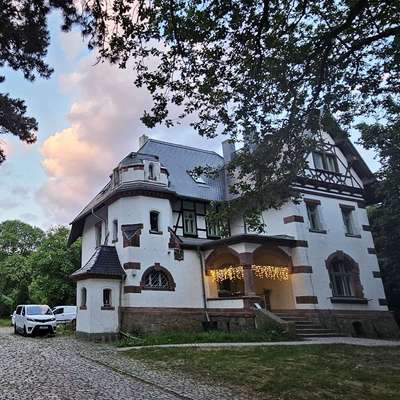%{de_profession_title}-Hundezentrum im Auwald Leipzig-Bild