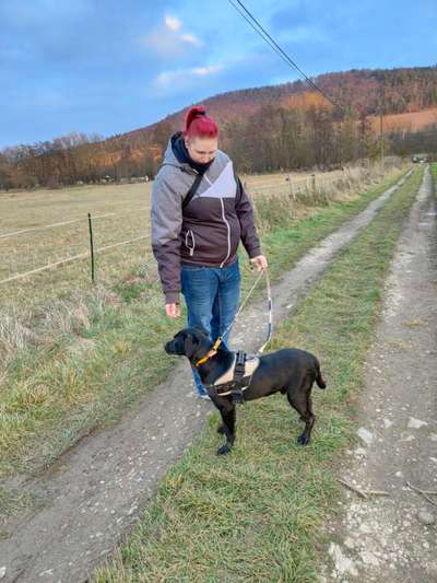 Windhunde - Treffen der besonderen Schönheiten
HERZLICH WILLKOMMEN-Beitrag-Bild