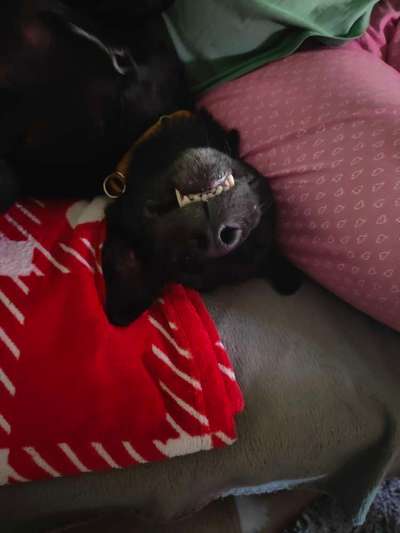 Her mit dem Grimassen-Beitrag-Bild