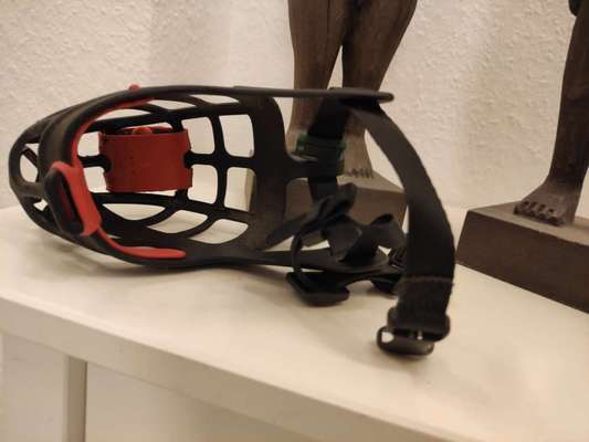 Zeigt mir doch bitte eure Maulkörbe!-Beitrag-Bild