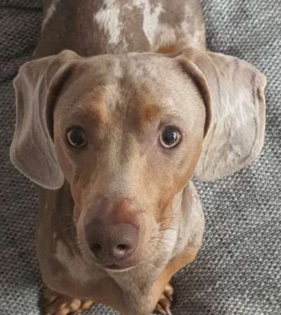 Handy-Foto Challange Nr. 10-Beitrag-Bild