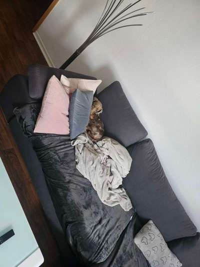 Schlafzeit!💖-Beitrag-Bild