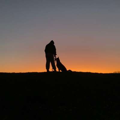 Hundetreffen-Gemeinsame Hundeunde