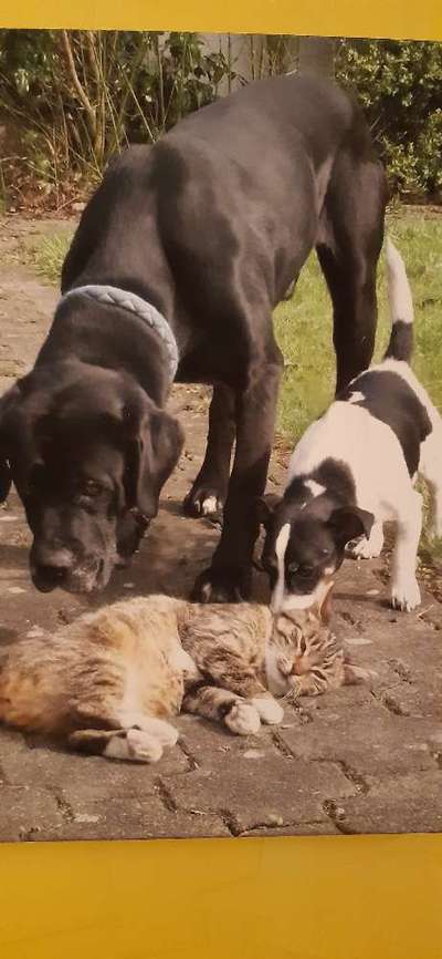 CHALLENGE Nr.17-Beitrag-Bild