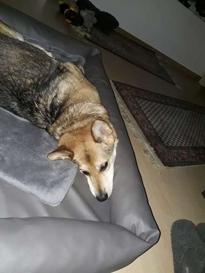 Die unbequemsten und lustigsten Schlafpositionen-Beitrag-Bild