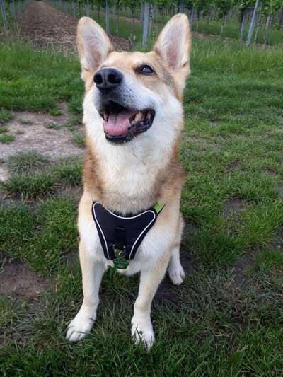 Immer lächeln !-Beitrag-Bild