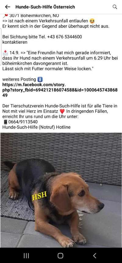 Suchmeldung-Massimo-Bild