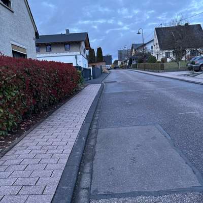 Giftköder-Drohungen-Bild