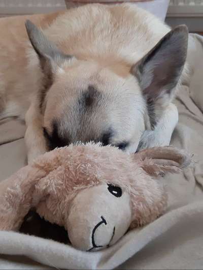 15. Handyfoto Challenge - Indoor Aktivitäten-Beitrag-Bild