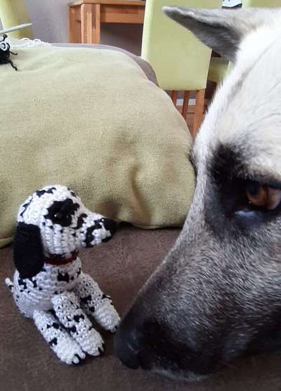 34. Farben-Challenge: Punkte - Punkte - Pünktchen-Beitrag-Bild