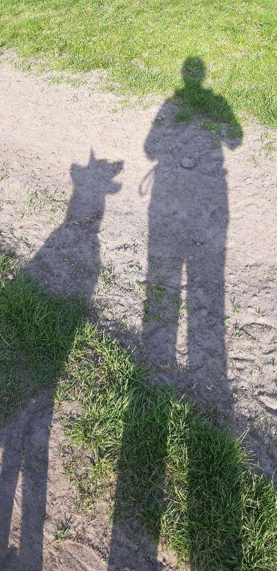 Foto Challenge Nr.135-Beitrag-Bild