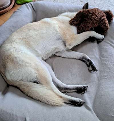 Foto Challenge Nr. 134-Beitrag-Bild