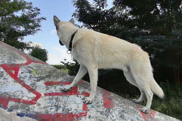 FOTOCHALLENGE 86-Beitrag-Bild