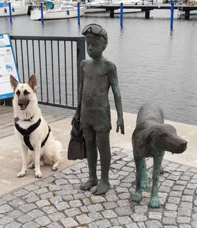 Dogorama Foto Challenge - Wanderziel-Beitrag-Bild