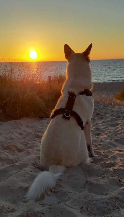 Theos  Fotochallenge Nummer 2-Beitrag-Bild