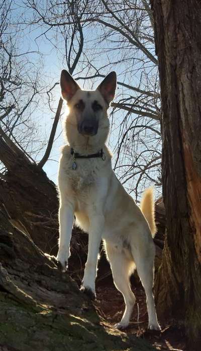 Foto Challenge Nr. 79-Beitrag-Bild