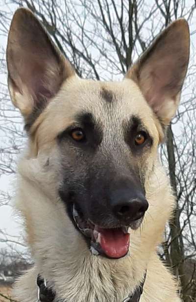 Fotochallange Nr. 57     PORTRÄT.   Beendet!!!!!!!!-Beitrag-Bild