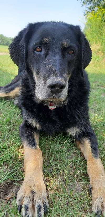 Fotochallenge Nr. 56 - geliebte Senioren-Beitrag-Bild