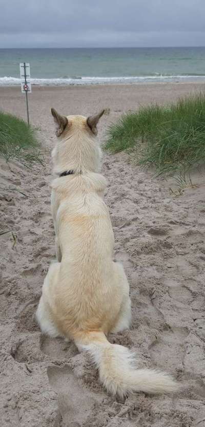 Fotochallenge Nr. 67: Euer Lieblingsbild-Beitrag-Bild