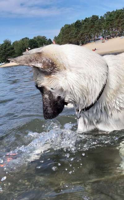 35. Handy Foto Challenge - Das nasse Element-Beitrag-Bild