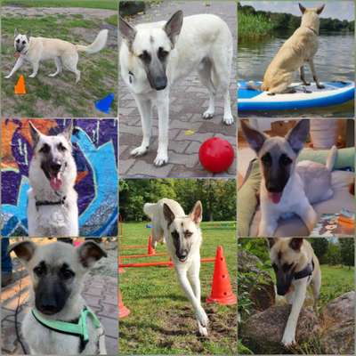 48. Collagen Challenge: Das Leben ist bunt-Beitrag-Bild