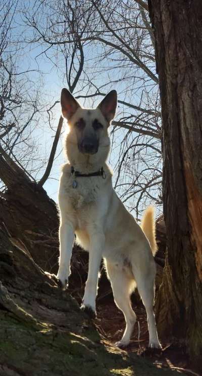 Dogorama Photo Challenge - Der Frühling kommt-Beitrag-Bild