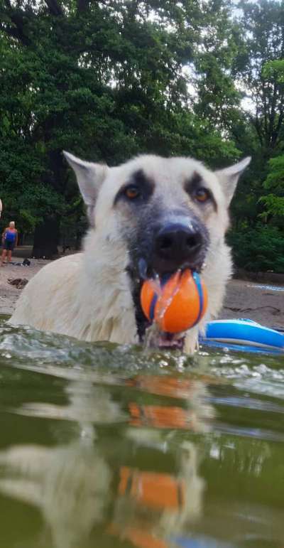 Fotochallenge 37- Sommerfeeling-Beitrag-Bild