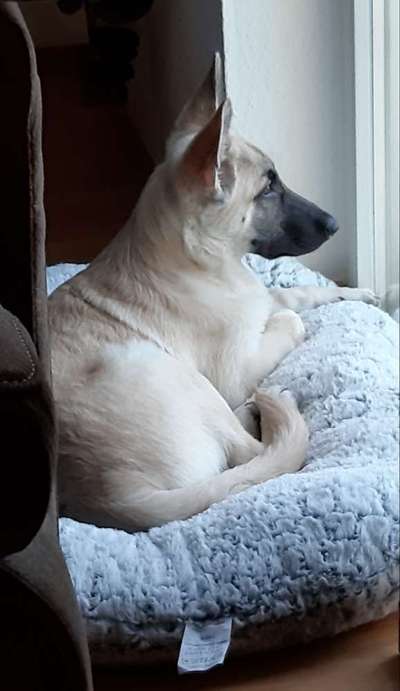 120. Fotochallenge-Beitrag-Bild