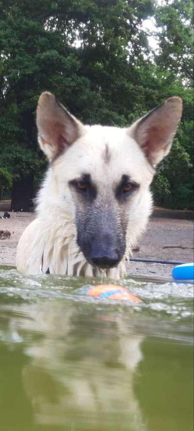 Fotochallenge Nr.89 - Charakter und Wesen-Beitrag-Bild