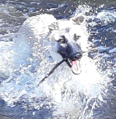 Foto Challenge Nr.133-Beitrag-Bild