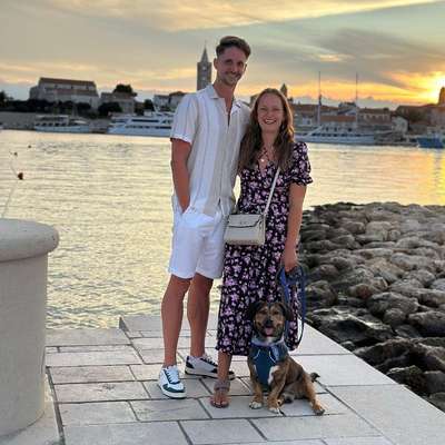 Hundetreffen-Hausbesuche üben