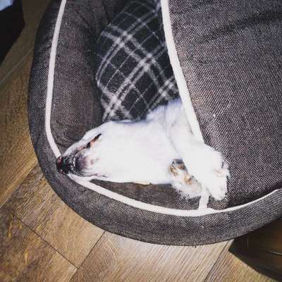 Die unbequemsten und lustigsten Schlafpositionen-Beitrag-Bild