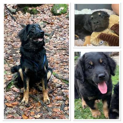 28. Handy-Fotochallenge - Damals und heute-Beitrag-Bild