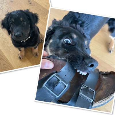 26. Handy Foto Challenge-Beitrag-Bild