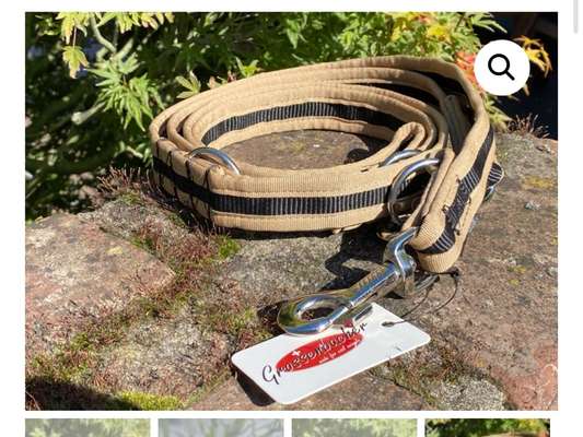 Welche Leine nutzt ihr?-Beitrag-Bild