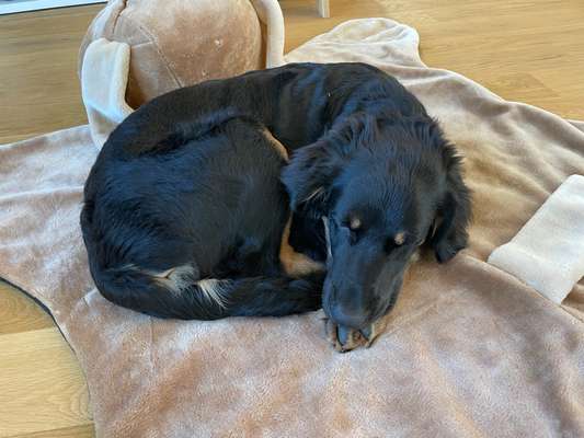 Fotochallange - Eingekugelt-Beitrag-Bild