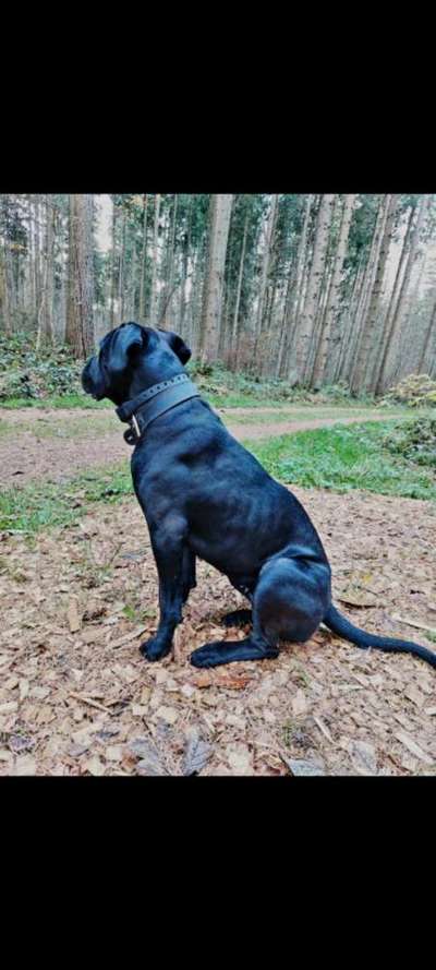 Der Gewichts-Thread-Beitrag-Bild