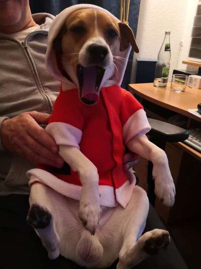 Weihnachtsfoto Aktion!-Beitrag-Bild