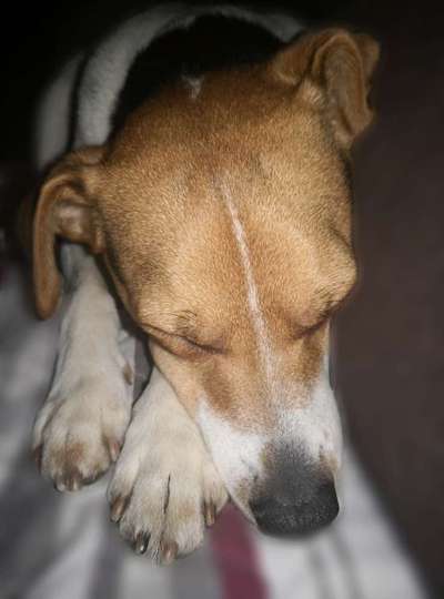 Weihnachtsfoto Aktion!-Beitrag-Bild