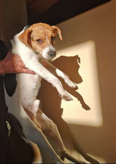 Fotochallenge No. 5-Beitrag-Bild