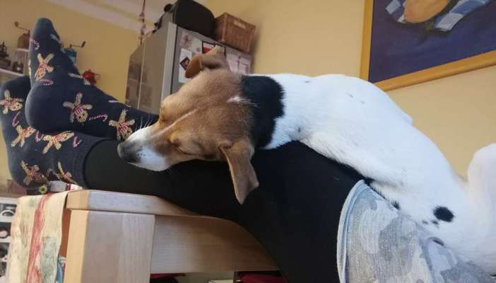 Die unbequemsten und lustigsten Schlafpositionen-Beitrag-Bild