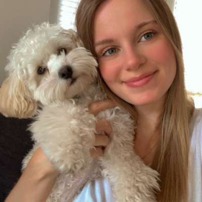 Hundetreffen-Gassi - und/oder Spielrunde-Bild