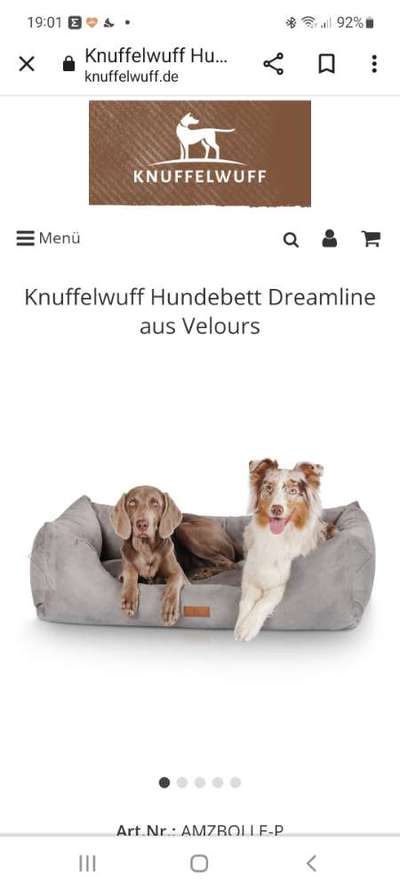 Orthopädisches & kuscheliges Hundekörbchen-Beitrag-Bild