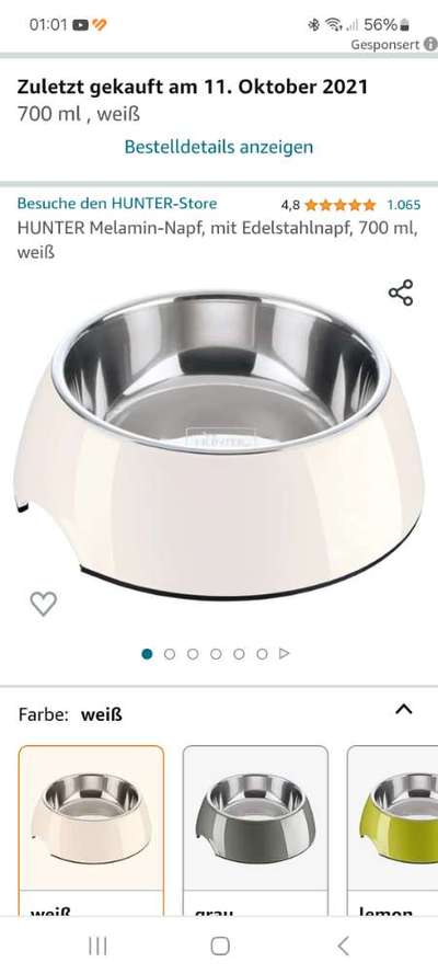 Junghund Ares macht uns Sorgen-Beitrag-Bild