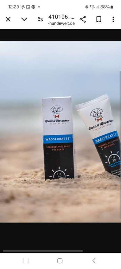 Sonnencreme für Hunde OHNE geruch-Beitrag-Bild