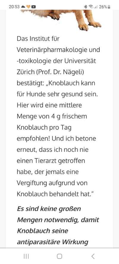 Zecken finden - Tipps und Tricks-Beitrag-Bild