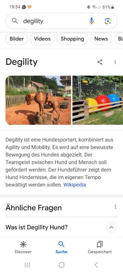 Hilfe! Mein Hund mag mich nicht!?-Beitrag-Bild