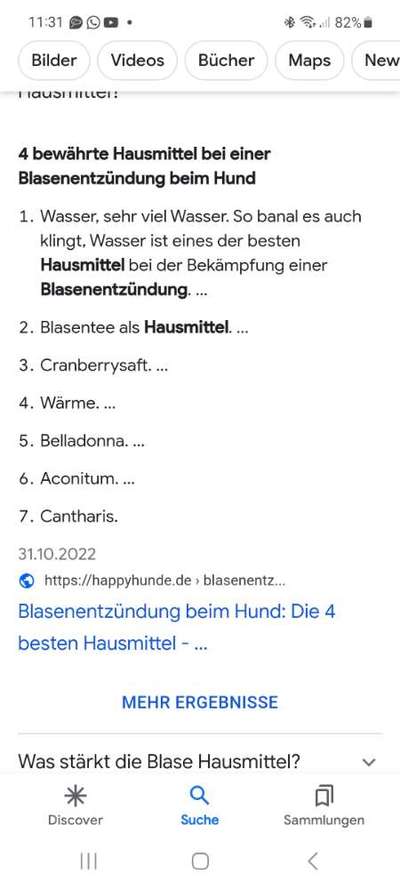 Blasenentzündung beim Hund-Beitrag-Bild