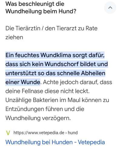 Nässende Wunde am Hals wie vor Kratzen schützen?-Beitrag-Bild